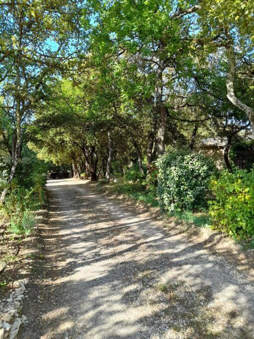 Villa Le Bosquet En Luberon. Ménerbes Εξωτερικό φωτογραφία